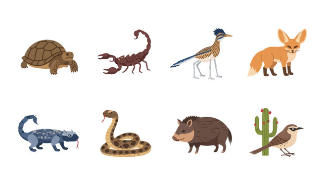 Desert Animals Collection: Tortoise, Scorpion, Roadrunner, Fox, Snake, Javelina, Bird, Cactus
