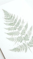 Obraz premium Watercolor fern leaf botanical illustration on white paper with delicate green tones and artistic paint splatters for nature-inspired design projects.