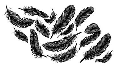 Realistic black feather plume vector elegant vintage quill hand drawn set © MDSAKIB