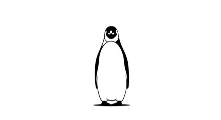 A single penguin stands facing forward on a white background. © yari