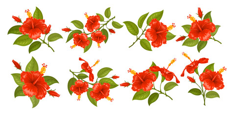 Obraz premium Red hibiscus. Hibiscus flower. Set of the one, two or three flowers on the twig. Various branches with flowers, buds and leaves. Tropic and subtropic plants, gumamela. Isolated vector illustration