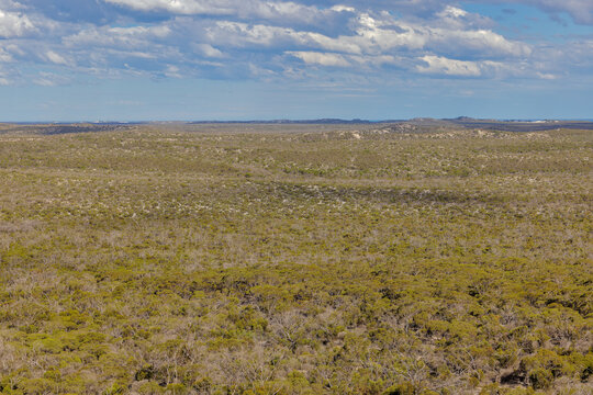 Madura, Australia Landscape Featuring Murra El Elevyn Cave