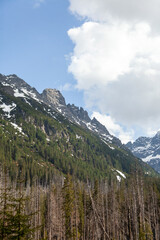 Obraz premium Snow-capped mountains rise above a dense forest of coniferous trees under a partly cloudy sky in the Tatra Mountains region of Poland