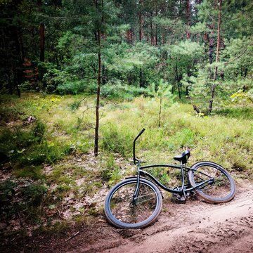 Black vintage cruiser bicycle on a sandy forest path, summer outdoor activity