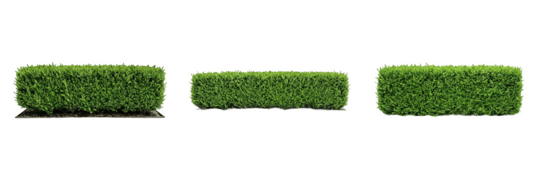 Long Green Bush Hedge Patch, Modern Backyard Garden Landscaping Border Shrubbery Element Transparent Background PNG