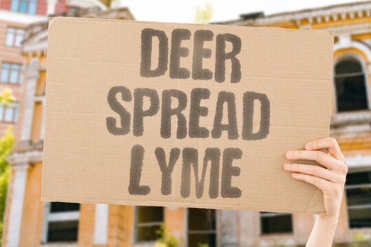 "Deer Spread Lyme" Deer populations act as primary tick hosts and expand disease range. DEER. POPULATIONS. PRIMARY. TICK. HOSTS.