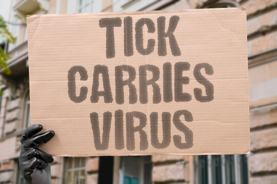 "Tick Carries Virus" Ticks transmit multiple distinct viral and bacterial diseases beyond Lyme. TICKS. TRANSMIT. VIRAL. BACTERIAL. DISEASES.