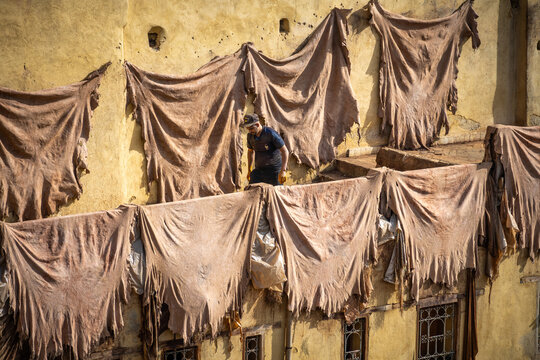 Chouara-Gerberei, F&egrave;s