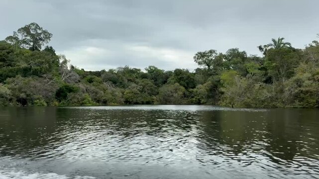 Passeio de barco pelo Rio Amazonas cercado por floresta tropical e reflexos naturais na &aacute;gua