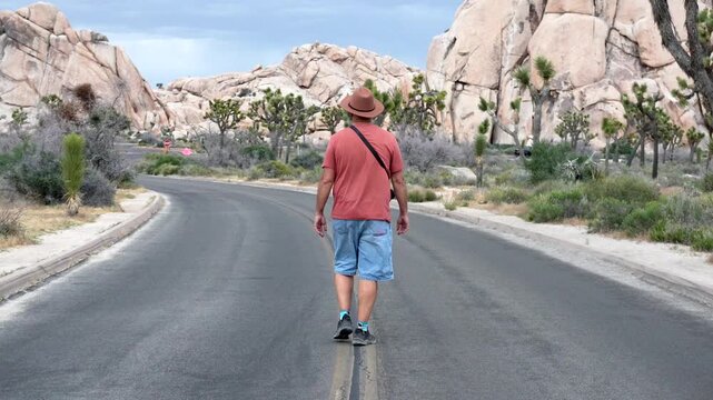 Rear view of a man with a hat trekking on an asphalt road surrounded by the stunning desert landscape of joshua tree national park, with its unique rock formations and yucca plants