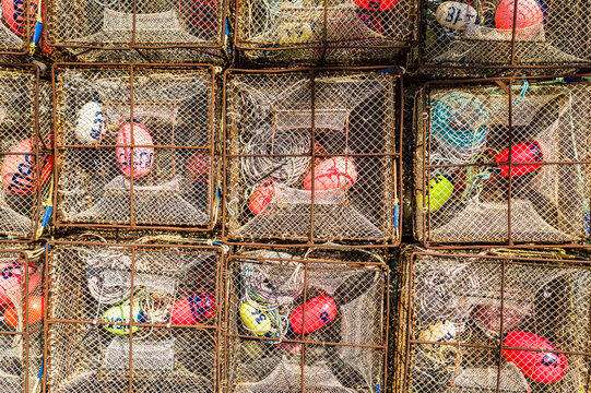 Aerial view of fishing cages in Unalaska bay, Alaska, USA.