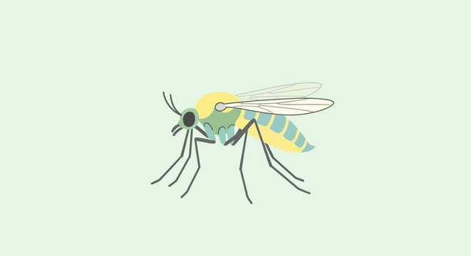 Stylized Mosquito Insect Illustration