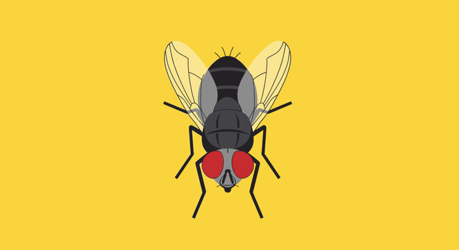 Close-up illustration of a common housefly with red eyes on a yellow background.