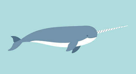Narwhal swimming in ocean water. © Aira