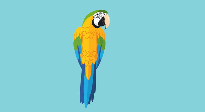 Colorful Parrot Bird Species Portrait.