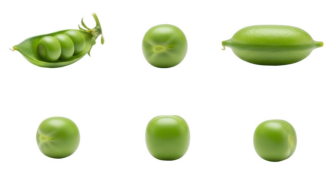 pea pod with peas in various stages isolated on white background for food and nutritional concepts