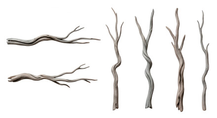 Fototapeta premium close-up of driftwood arranged on a white background natural decor and design concepts