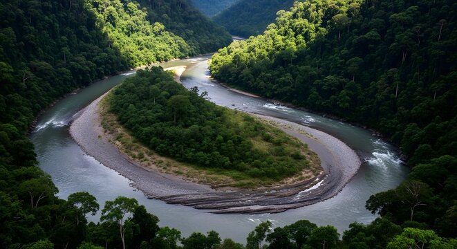 River bend through lush tropical jungle landscape view