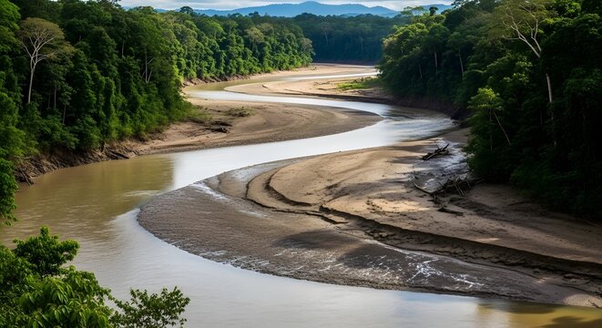 River bends through lush tropical forest landscape during day