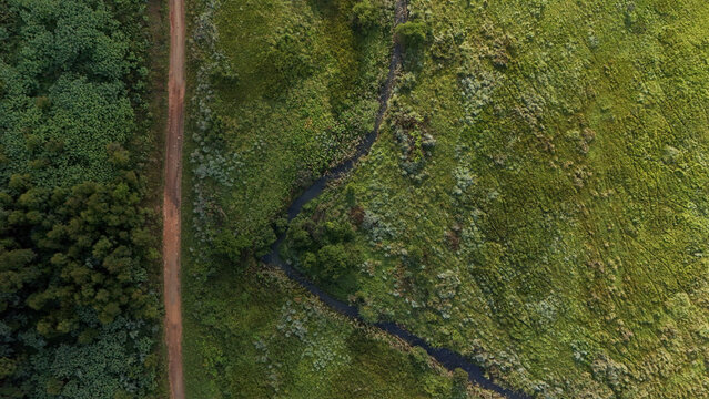 Aerial view of lush green landscape with a winding stream and a dirt road cutting through dense vegetation Garden Route District Municipality, Western Cape, South Africa.