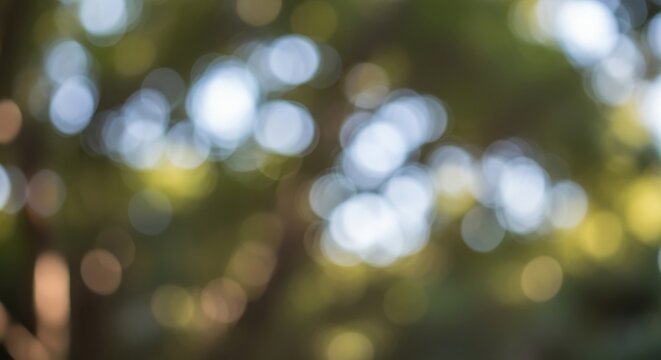 A serene natural scene with blurred bokeh effect in a forest environment