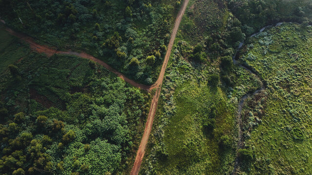 Aerial view of a dirt road intersection winding through lush green vegetation and a small stream Garden Route District Municipality, Western Cape, South Africa.