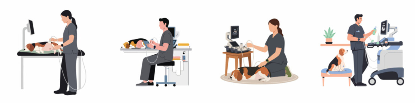 Set of veterinarians performing ultrasound examinations on beagle dogs in various clinic settings, illustrating pet healthcare and diagnostic procedures.