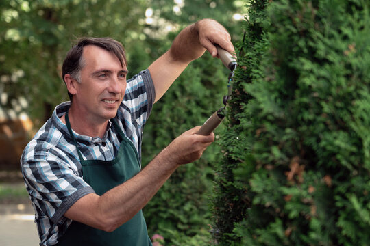 Man with garden shears cutting bushes and trees in the garden