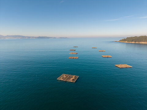 Mussel farm rafts aquaculture in rias baixas galicia