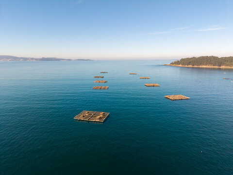 Mussel farm bateas floating in calm ocean waters, galicia