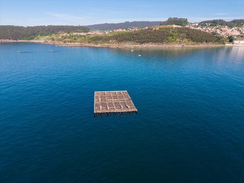 Mussel farm floating platform in galicia bay
