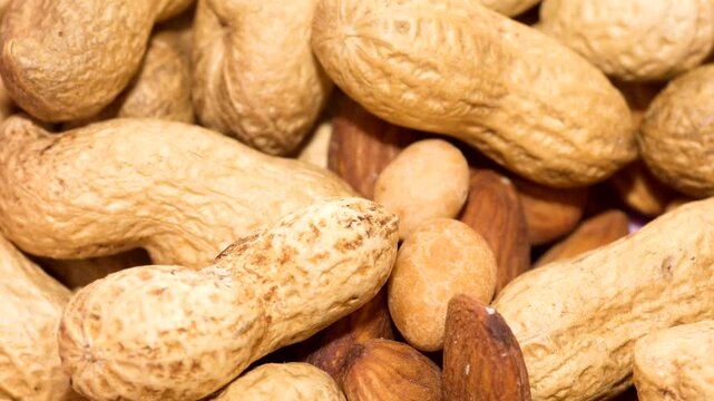 Closeup view of mixture different types of tree nuts in the shells