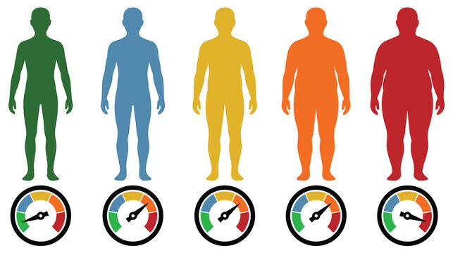 Human body mass index bmi scale infographics with colored silhouettes.
