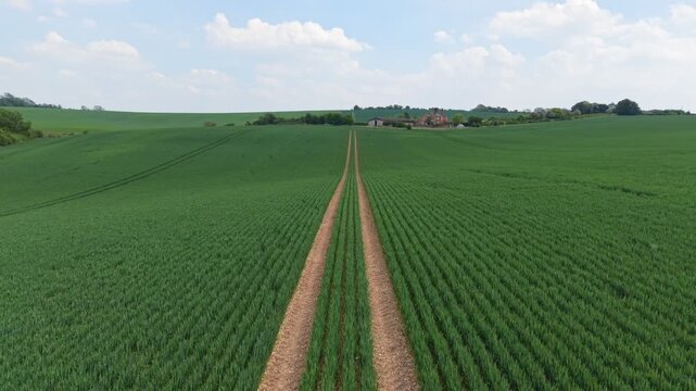 Aerial drone footage of a barley field in Hampshire, England, showcasing expansive farmland and the rolling British countryside