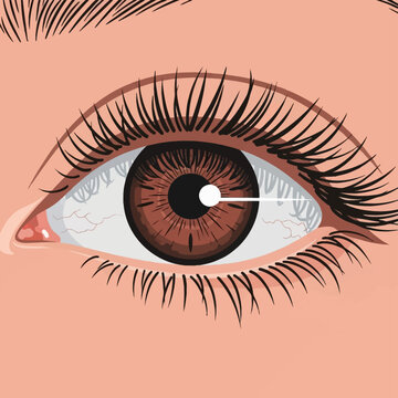 Close-up vector illustration of a human brown eye with detailed iris patterns, long thick black eyelashes, and visible capillary veins on the sclera against light skin tone.