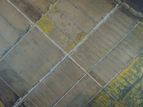 Aerial view of salt marshes with geometric patterns and beautiful textures, Figueira da Foz, Coimbra, Portugal.