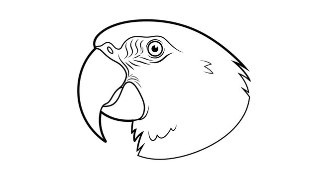Line Art Parrot Head Illustration, Simple Bird Drawing, Minimalist Vector Art