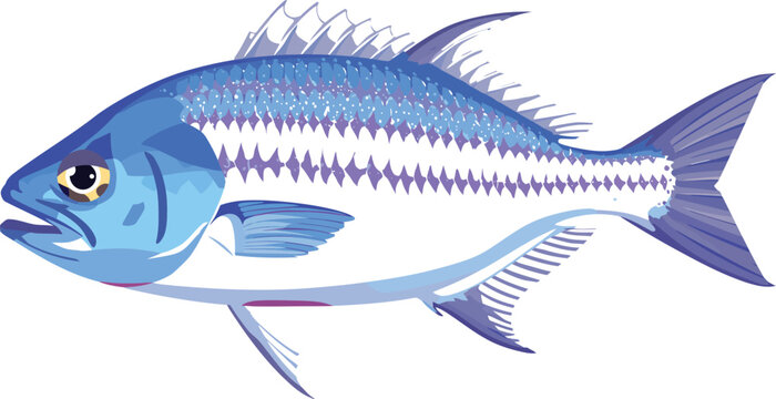 Blue fish with sharp teeth