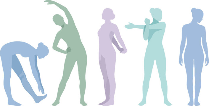 Silhouettes of women performing stretching and warm-up exercises with stretching