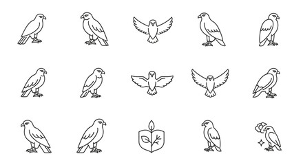 Fototapeta premium Line art illustrations of various birds in different poses for design projects