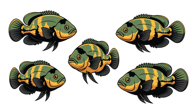 Vector illustration of five vibrant tropical striped fish. Aquarium cichlid fish group isolated on white background.