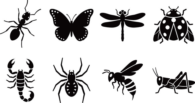 Common Insects and Arachnids Silhouette Collection with Ant, Butterfly, Dragonfly, Ladybug, Scorpion, Spider, Wasp and Grasshopper Vector Icons