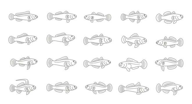 Outlined fish collection diverse aquatic species illustrations on white