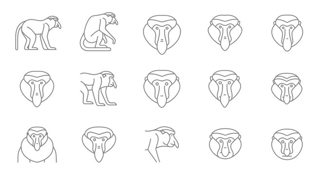 Outline drawings of primates in various poses and facial expressions