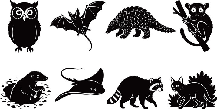 Nocturnal Animals Silhouette Icons Set, Owl, Bat, Pangolin, Tarsier, Badger, Stingray, Raccoon and Cat Vector Symbols Isolated on White Background