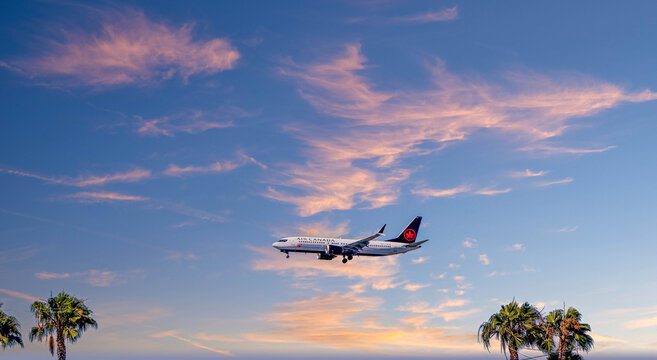 Air Canada Boeing 737 Landing at LAX