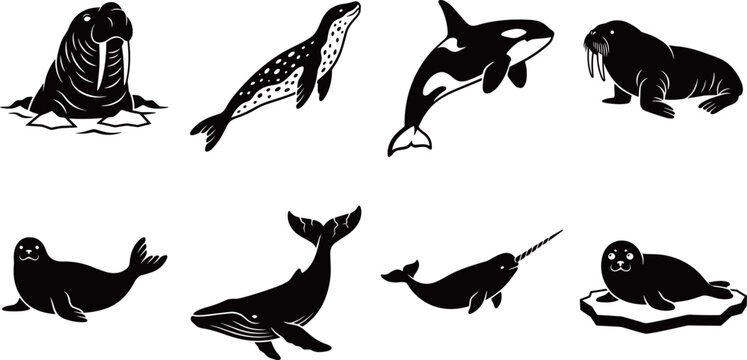Arctic and Marine Animals Silhouette Set Featuring Walrus Whale Orca Seal Narwhal and Sea Lion Swimming in Polar Ocean Environment Vector Graphics