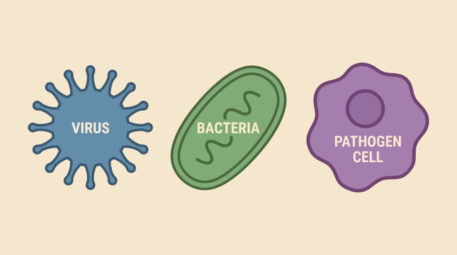 Virus Bacteria Microscopic Pathogen Cell
