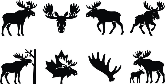 Canadian Moose Silhouette Icon Set &ndash; Wildlife, Antlers, Maple Leaf, and Moose Calf Symbols for Victoria Day