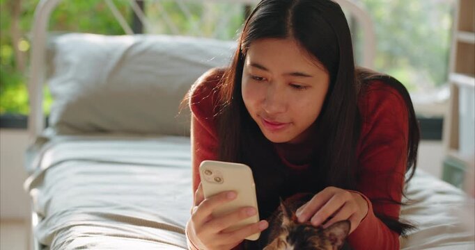 Woman Hand Using Smartphone while Stroking Calico Cat Head on Bed, Dreamy Lifestyle and Bonding, set in a dreamy. sunlit bedroom atmosphere. 
